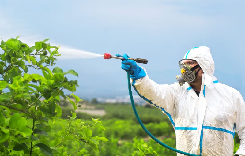 Commercial Fumigation in Bellingham, WA