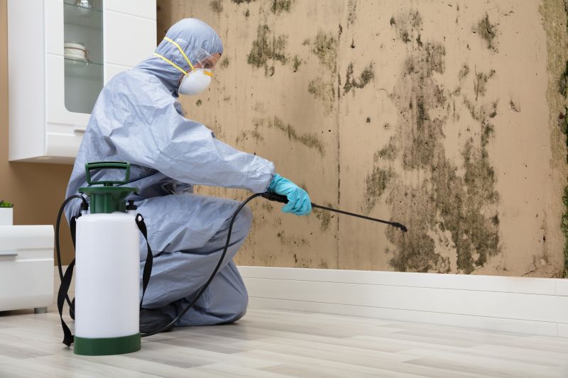 Moth Extermination in Katy, TX
