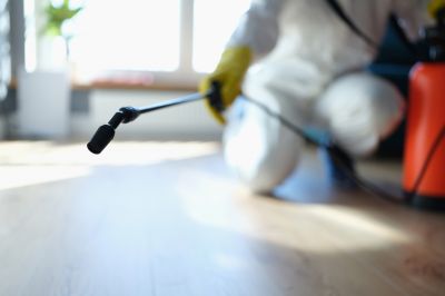 Pest Fumigation Service in Long Island, NY