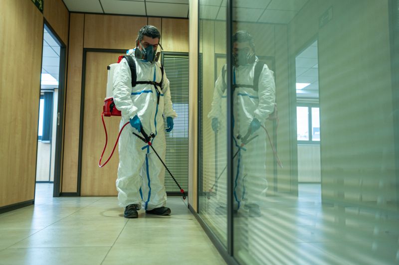Residential Fumigation in Tampa, FL