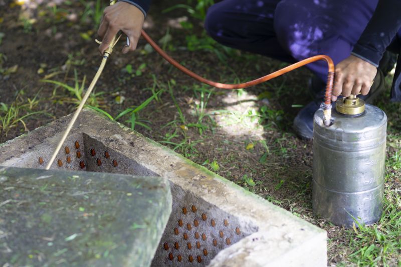 Roach Fumigation in Kalamazoo, MI