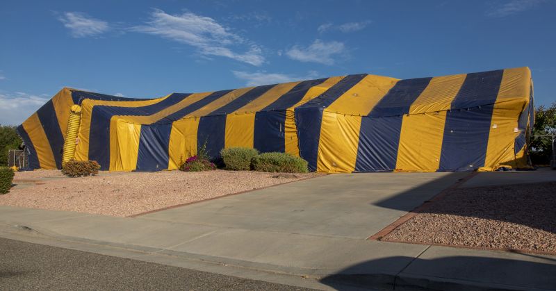 Termite Tenting in San Antonio, TX