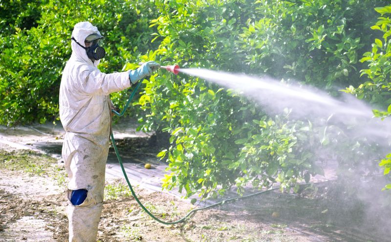 Commercial Fumigation in Madison, WI
