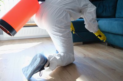 Residential Fumigation in Wilmington, DE